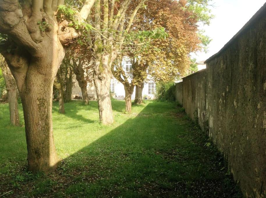 Ancien Presbytere Au Coeur Du Village Mauvezin  Eksteriør bilde
